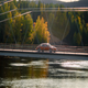 Illustration for article titled 1400 Kilometer Roadtrip in a VW Beetle Through the Swedish Countryside. Blacktop Ranger OC